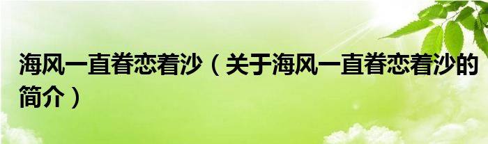 海風(fēng)一直眷戀著沙（關(guān)于海風(fēng)一直眷戀著沙的簡(jiǎn)介）