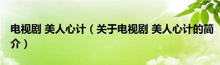 電視劇 美人心計(jì)（關(guān)于電視劇 美人心計(jì)的簡介）