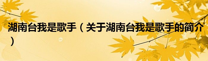 湖南臺我是歌手（關(guān)于湖南臺我是歌手的簡介）