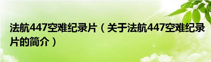 法航447空難紀(jì)錄片（關(guān)于法航447空難紀(jì)錄片的簡介）