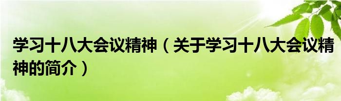 學習十八大會議精神（關于學習十八大會議精神的簡介）