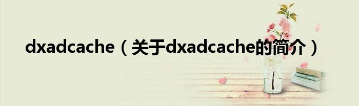 dxadcache（關(guān)于dxadcache的簡介）