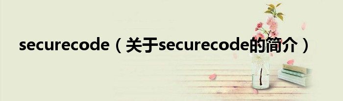 securecode（關于securecode的簡介）