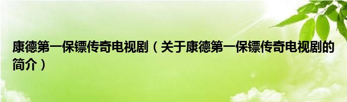 康德第一保鏢傳奇電視?。P于康德第一保鏢傳奇電視劇的簡介）