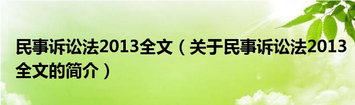 民事訴訟法2013全文（關(guān)于民事訴訟法2013全文的簡(jiǎn)介）