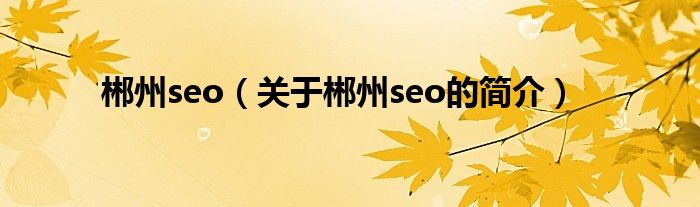 郴州seo（關(guān)于郴州seo的簡(jiǎn)介）