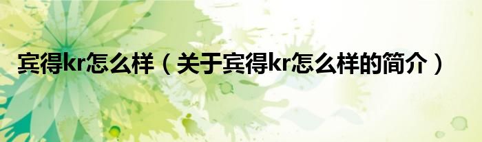 賓得kr怎么樣（關(guān)于賓得kr怎么樣的簡介）