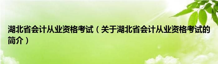 湖北省會計從業(yè)資格考試（關于湖北省會計從業(yè)資格考試的簡介）