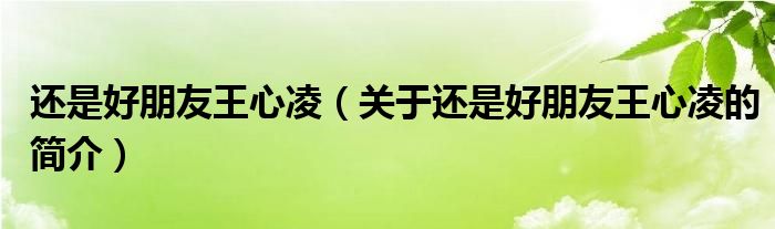 還是好朋友王心凌（關于還是好朋友王心凌的簡介）