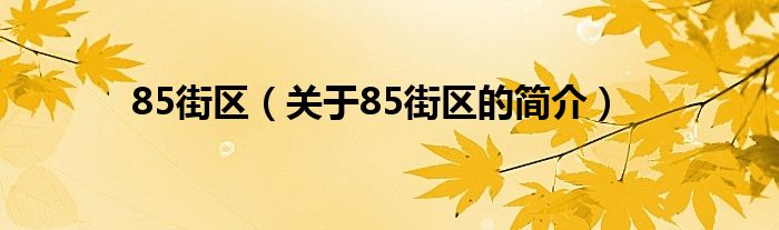 85街區(qū)（關(guān)于85街區(qū)的簡介）