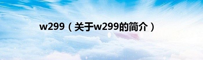 w299（關于w299的簡介）