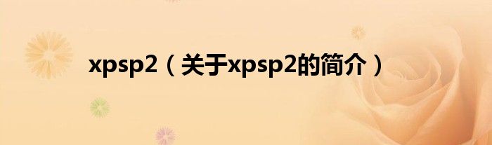 xpsp2（關(guān)于xpsp2的簡介）