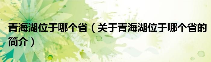 青海湖位于哪個?。P(guān)于青海湖位于哪個省的簡介）