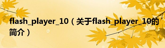 flash_player_10（關(guān)于flash_player_10的簡(jiǎn)介）