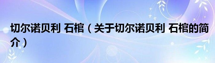 切爾諾貝利 石棺（關(guān)于切爾諾貝利 石棺的簡(jiǎn)介）