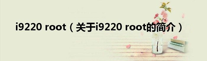 i9220 root（關(guān)于i9220 root的簡(jiǎn)介）