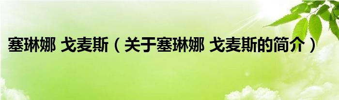 塞琳娜 戈麥斯（關(guān)于塞琳娜 戈麥斯的簡(jiǎn)介）