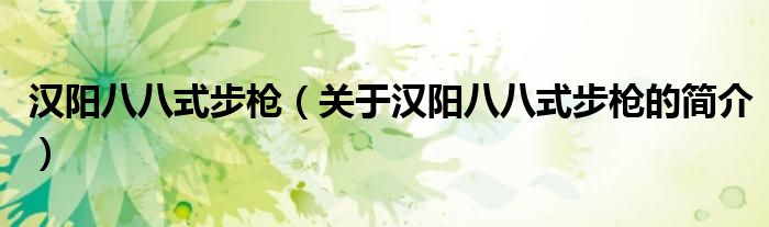 漢陽八八式步槍（關(guān)于漢陽八八式步槍的簡(jiǎn)介）