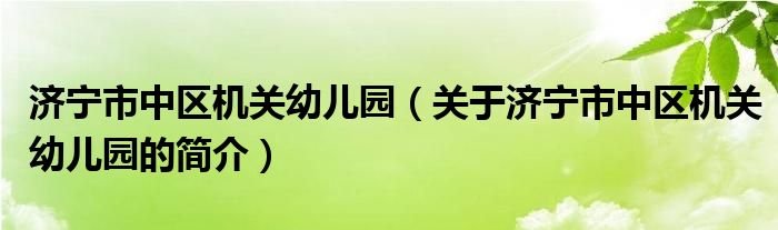 濟(jì)寧市中區(qū)機(jī)關(guān)幼兒園（關(guān)于濟(jì)寧市中區(qū)機(jī)關(guān)幼兒園的簡(jiǎn)介）