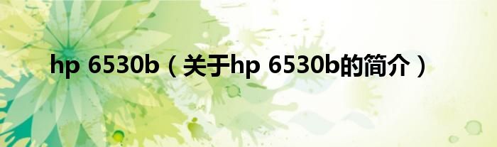 hp 6530b（關(guān)于hp 6530b的簡介）