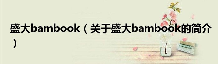 盛大bambook（關(guān)于盛大bambook的簡(jiǎn)介）