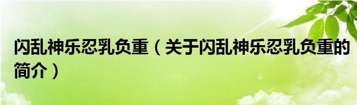 閃亂神樂忍乳負重（關(guān)于閃亂神樂忍乳負重的簡介）