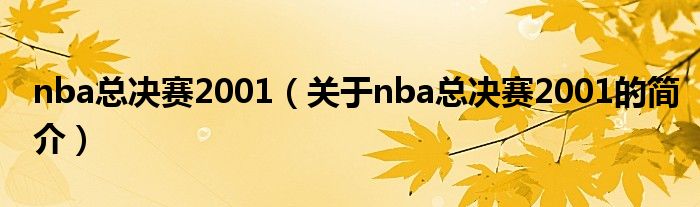 nba總決賽2001（關(guān)于nba總決賽2001的簡介）