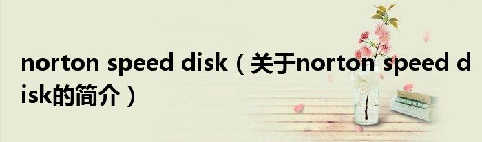 norton speed disk（關(guān)于norton speed disk的簡介）