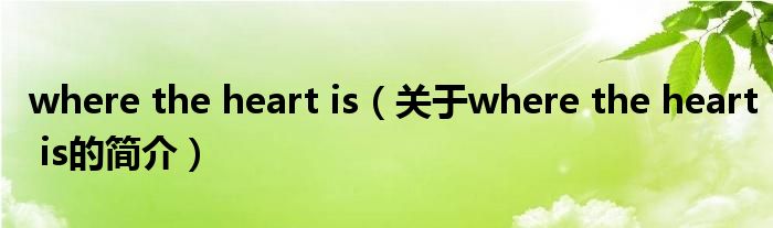 where the heart is（關于where the heart is的簡介）