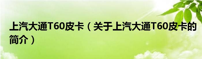 上汽大通T60皮卡（關(guān)于上汽大通T60皮卡的簡(jiǎn)介）