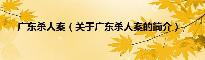 廣東殺人案（關于廣東殺人案的簡介）