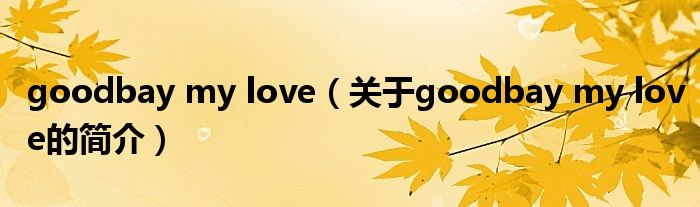 goodbay my love（關(guān)于goodbay my love的簡(jiǎn)介）