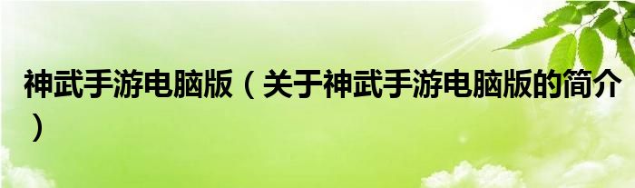 神武手游電腦版（關(guān)于神武手游電腦版的簡介）