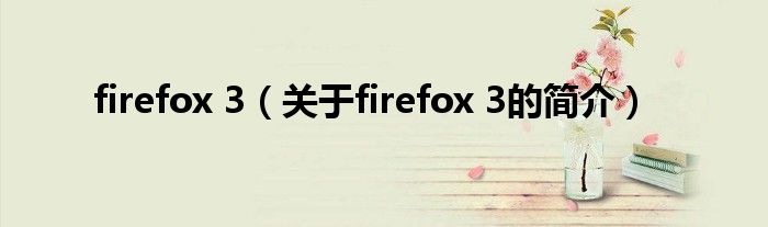 firefox 3（關(guān)于firefox 3的簡(jiǎn)介）