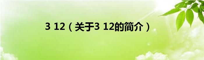 3 12（關(guān)于3 12的簡介）