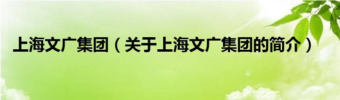 上海文廣集團（關于上海文廣集團的簡介）