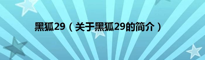 黑狐29（關(guān)于黑狐29的簡(jiǎn)介）