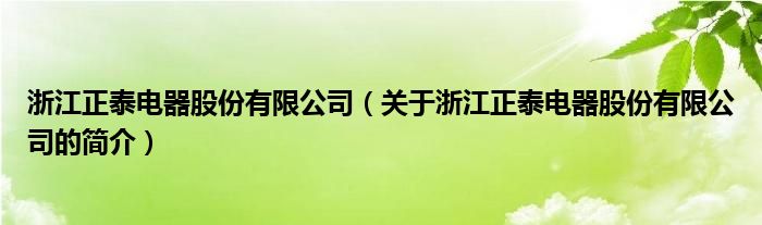 浙江正泰電器股份有限公司（關(guān)于浙江正泰電器股份有限公司的簡(jiǎn)介）