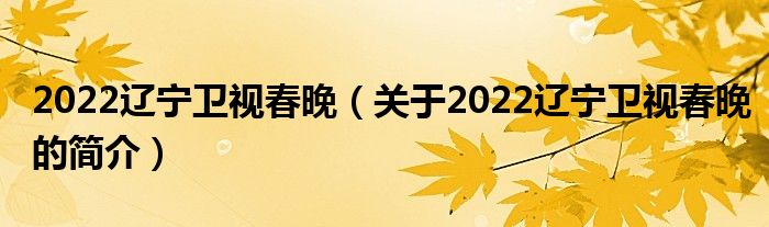 2022遼寧衛(wèi)視春晚（關(guān)于2022遼寧衛(wèi)視春晚的簡介）