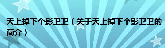 天上掉下個影衛(wèi)衛(wèi)（關(guān)于天上掉下個影衛(wèi)衛(wèi)的簡介）