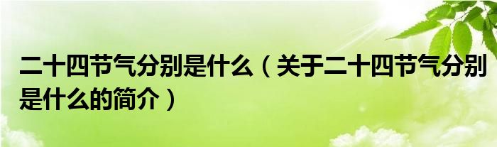 二十四節(jié)氣分別是什么（關(guān)于二十四節(jié)氣分別是什么的簡(jiǎn)介）