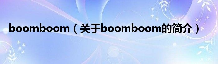 boomboom（關于boomboom的簡介）