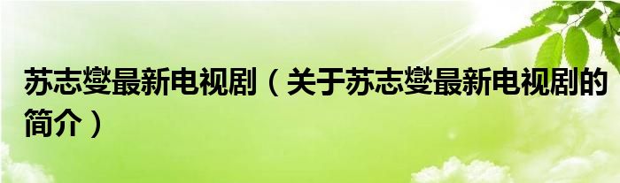 蘇志燮最新電視?。P(guān)于蘇志燮最新電視劇的簡介）