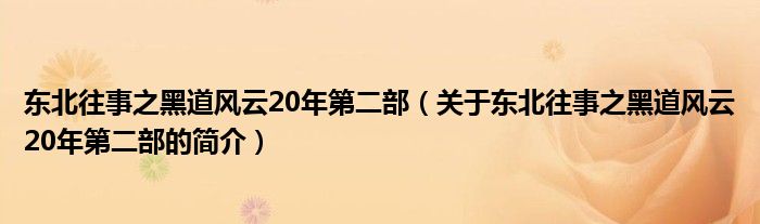 東北往事之黑道風(fēng)云20年第二部（關(guān)于東北往事之黑道風(fēng)云20年第二部的簡介）