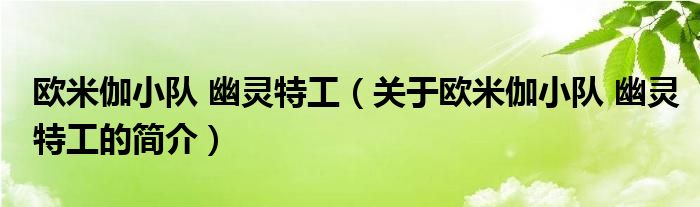 歐米伽小隊(duì) 幽靈特工（關(guān)于歐米伽小隊(duì) 幽靈特工的簡(jiǎn)介）