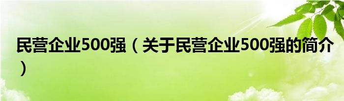 民營企業(yè)500強（關(guān)于民營企業(yè)500強的簡介）