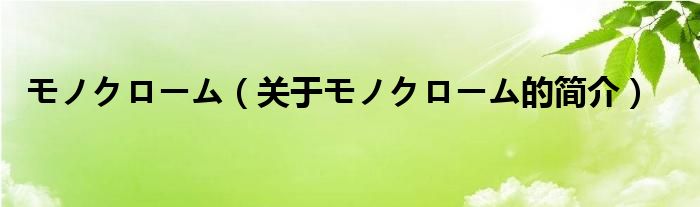 モノクローム（關于モノクローム的簡介）