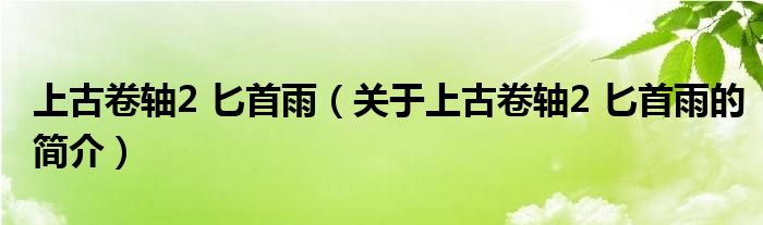 上古卷軸2 匕首雨（關(guān)于上古卷軸2 匕首雨的簡介）