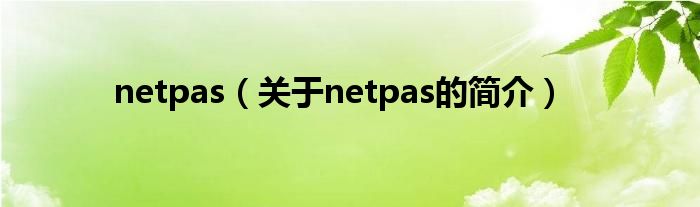 netpas（關于netpas的簡介）