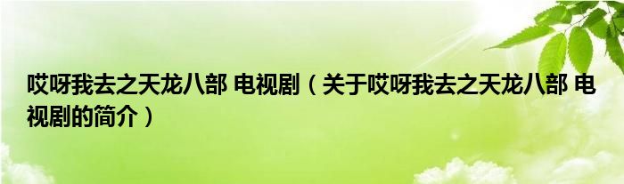 哎呀我去之天龍八部 電視?。P(guān)于哎呀我去之天龍八部 電視劇的簡介）